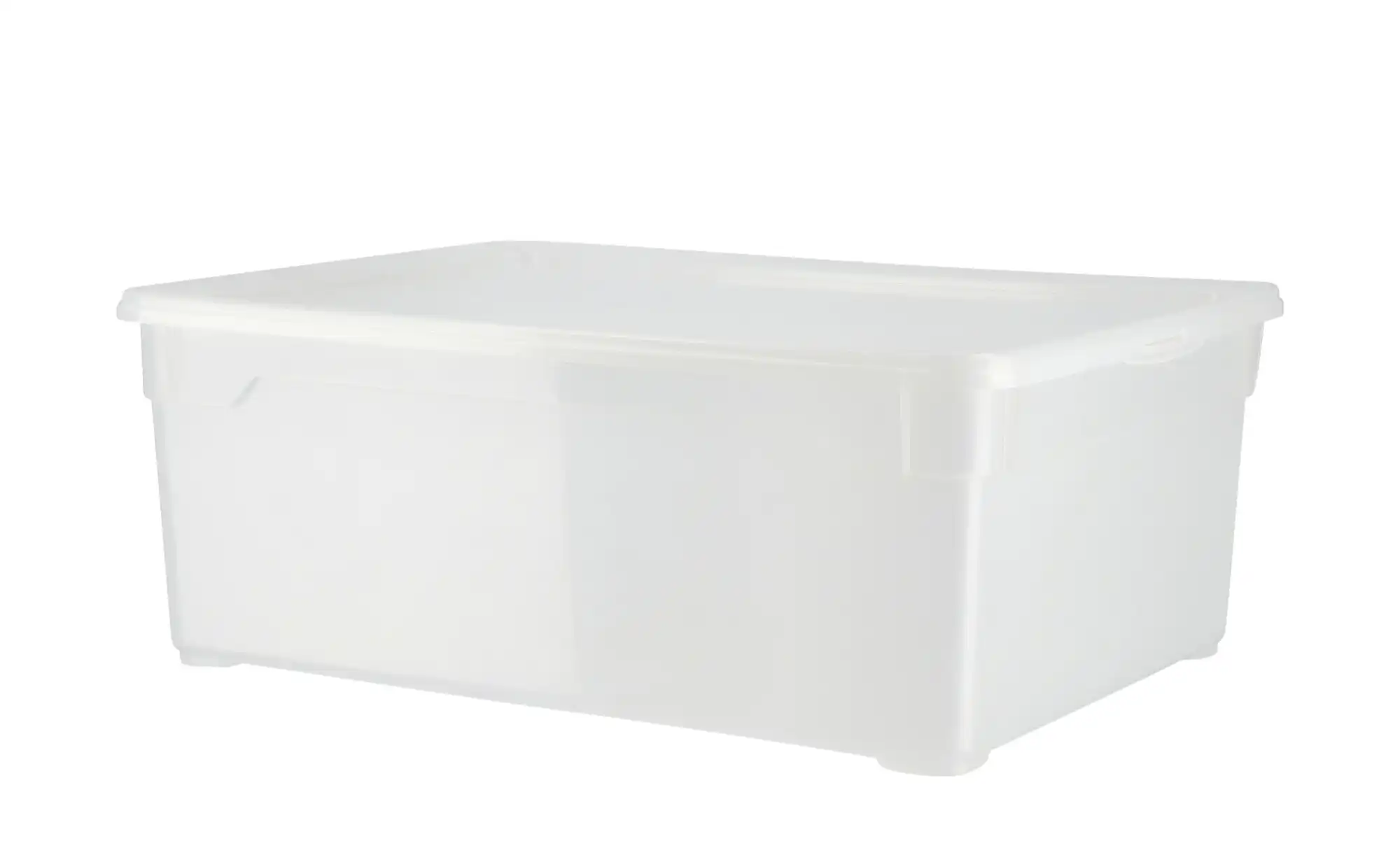Rotho Aufbewahrungsbox, 3er Set