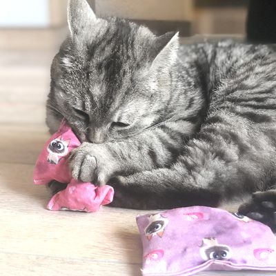 Aumüller Baldini Katzenspielkissen PETS Edition