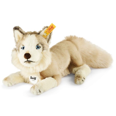 Dui Husky