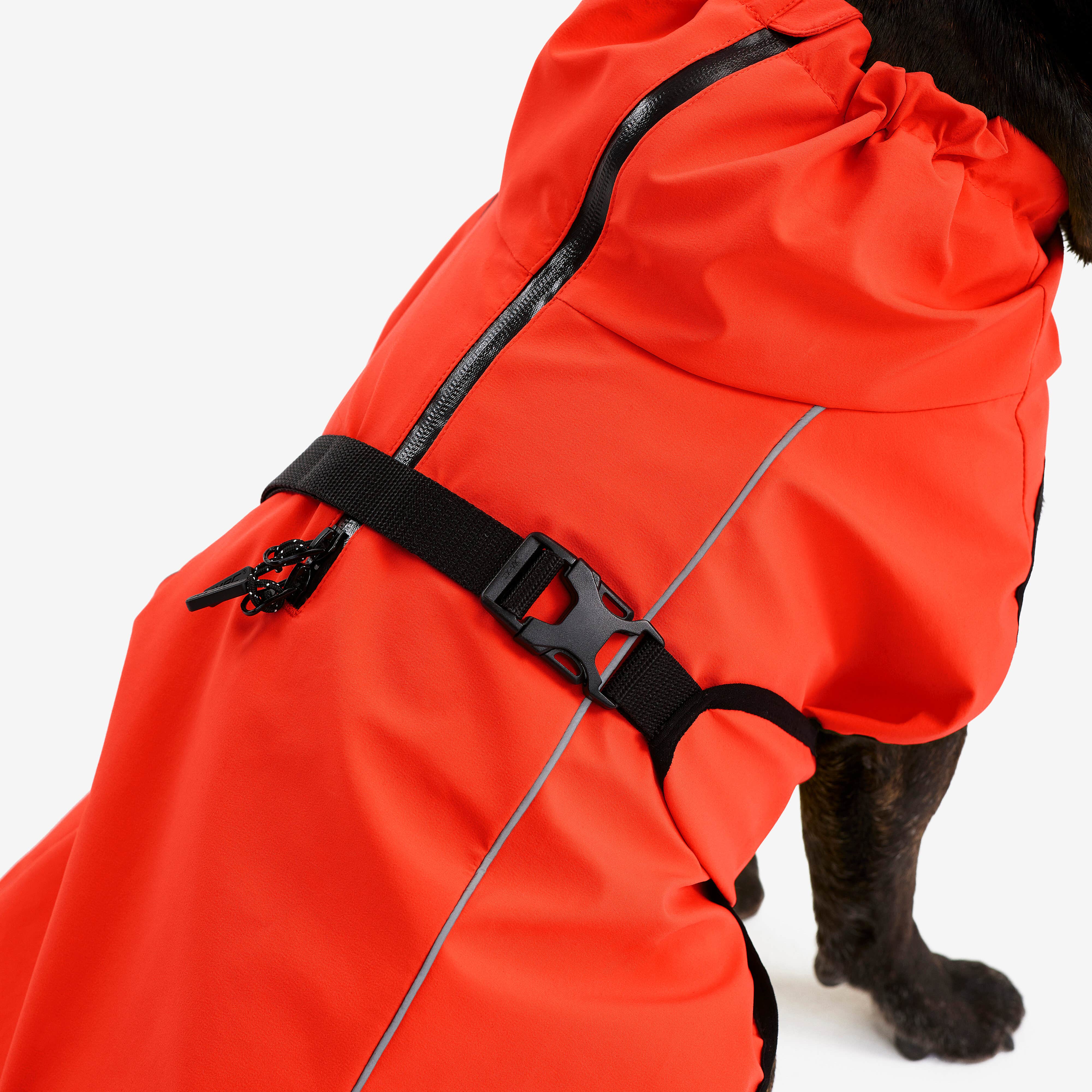 Cyclone Dog Jacket Chien Pureed Pumpkin