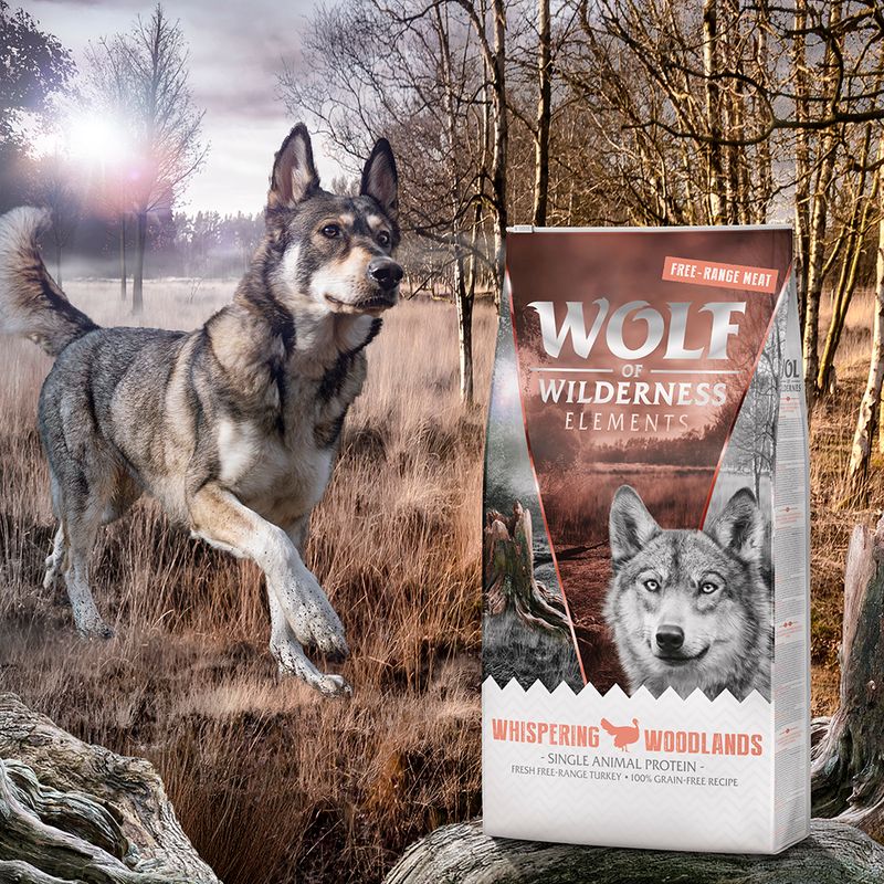 Wolf of Wilderness 'Whispering Woodlands' - Freiland-Pute