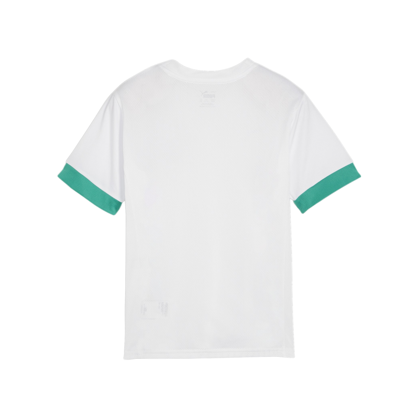 PUMA teamGOAL Matchday Trikot Kids Weiss Grün F15