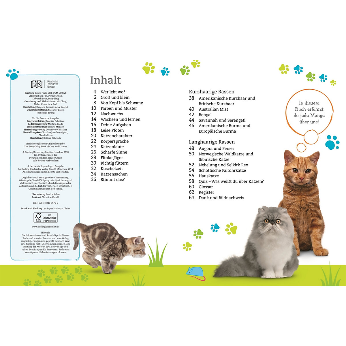 Alles über deine Katze