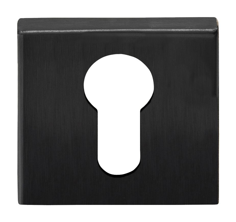 Formani 1501Y060IGXX0 BASICS BSQY53 Vierkantzylinderplatte PVD-Rotmetall