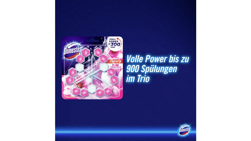 Domestos Power 5 WC-Stein Pinke Magnolie 165 g