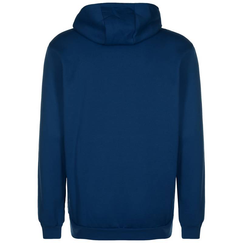 adidas Entrada 22 Hoodie Herren