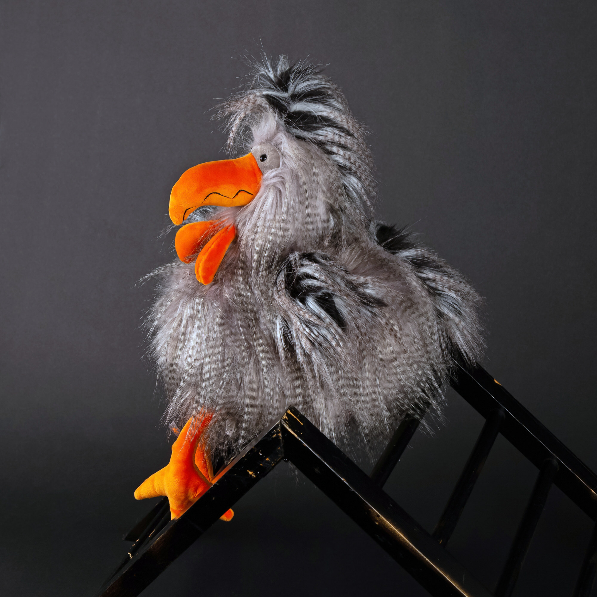 Kuschelhahn Roost Boost, Kikeriki