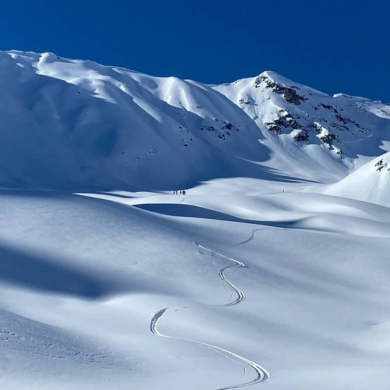 Erlebnis Freeride mit Guide Tour
