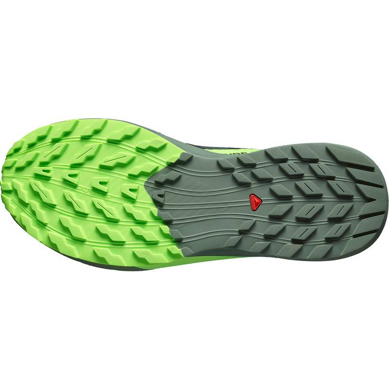 Salomon SENSE RIDE 5 Laufschuhe Herren