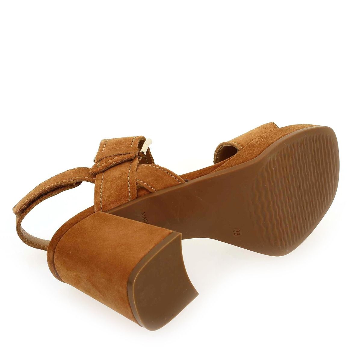Alpe  2572 - Camel