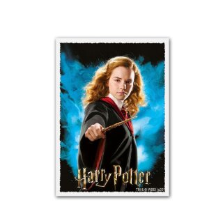 Dragon Shield Matte Art Sleeves - WizardingWorld - Hermione Granger (100)