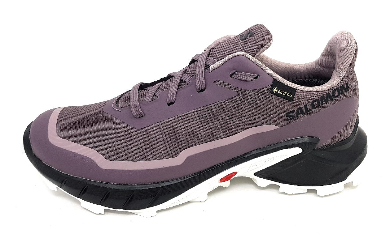 Salomon Alphacross 5 GTX W L47311000 Mehrfarbig MNSCAP/Black