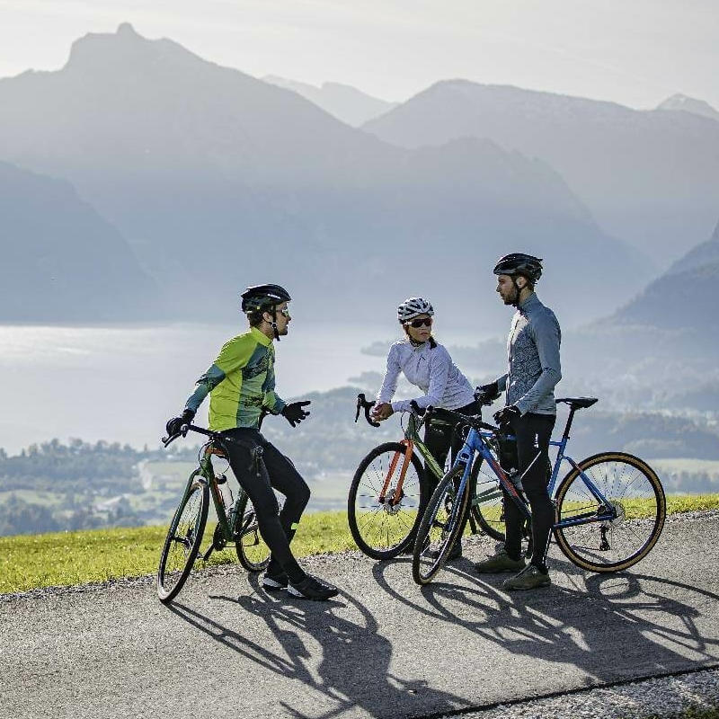 Löffler Shalerock grünes Herren Langarm-Radtrikot