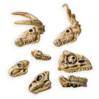 Beast Skulls (11)