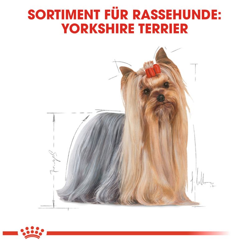 Royal Canin Yorkshire Terrier Adult