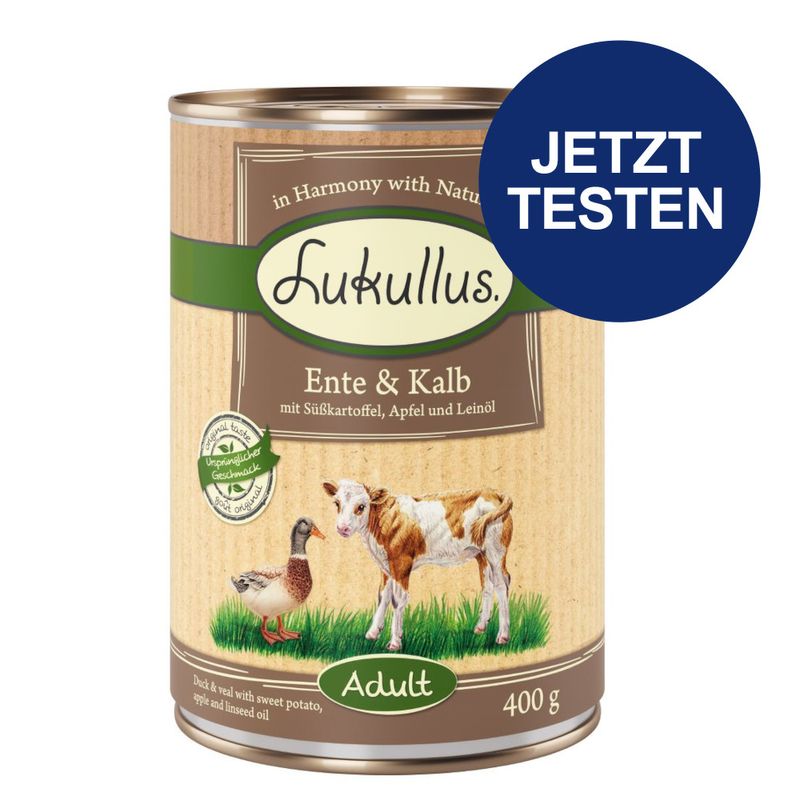 Probierpaket Lukullus Naturkost Getreidefrei