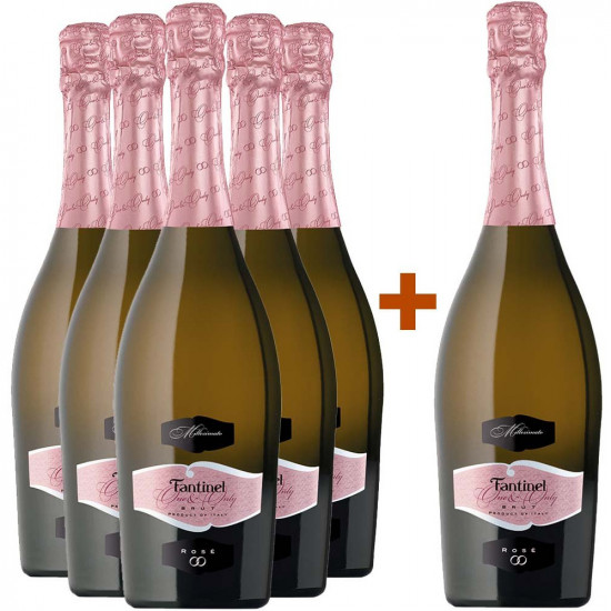 5+1 Paket Fantinel 