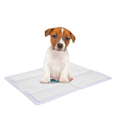Savic Puppy Trainer Pads mit Lavendelduft