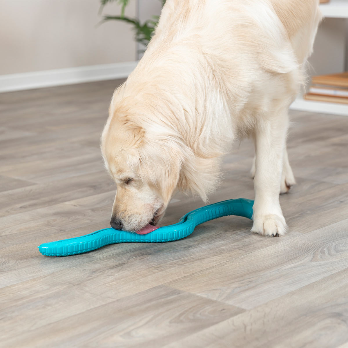 Trixie Snack-Snake 59 cm günstig kaufen bei ZooRoyal