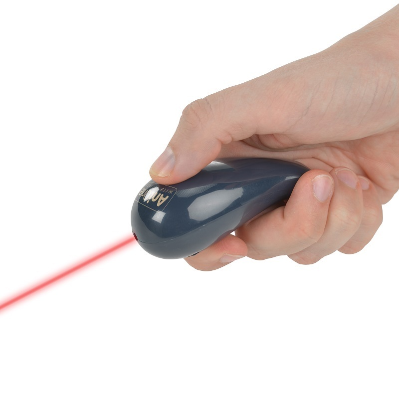 AniOne Laserpointer & Elektrospielzeug AniOne Laserpointer Fisch