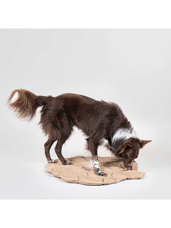 Paikka Hunde-Schnüffelteppich in Hellbraun günstig kaufen 80x62 cm