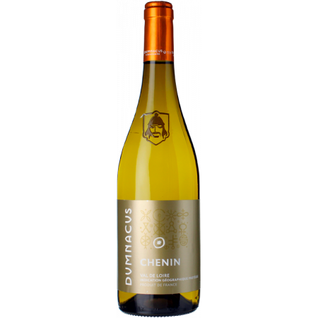 CHENIN - LOIRE REBELLE 2022 - DUMNACUS VIGNERONS
