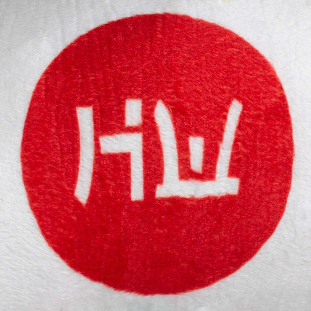 HIDETOSHI WAKASHIMA 