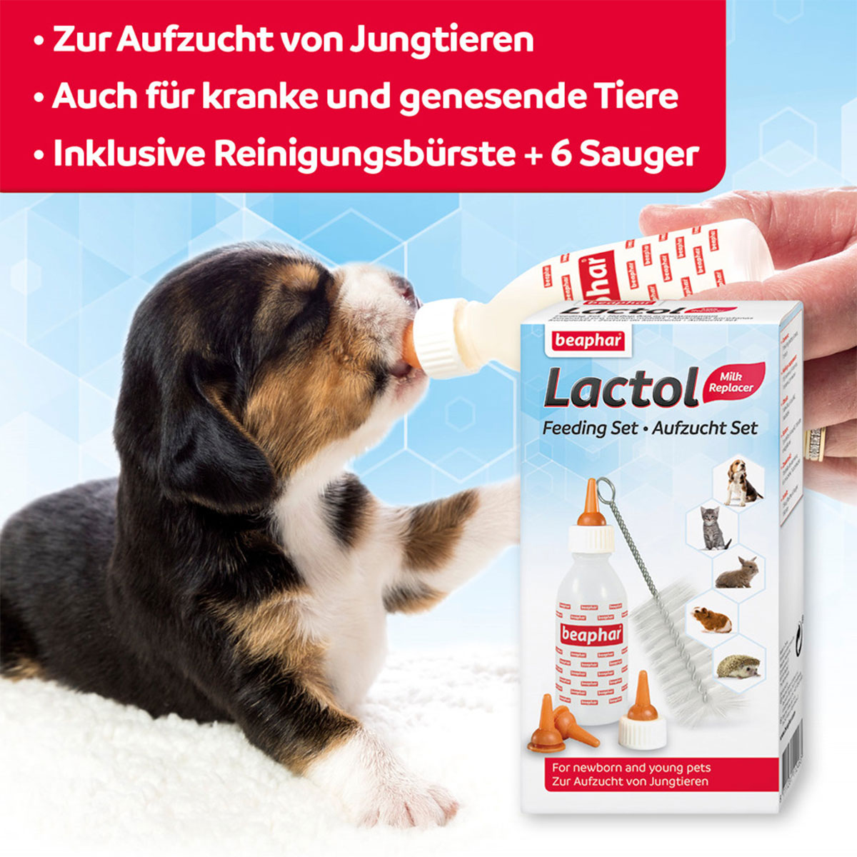 beaphar Lactol Aufzucht Set günstig kaufen