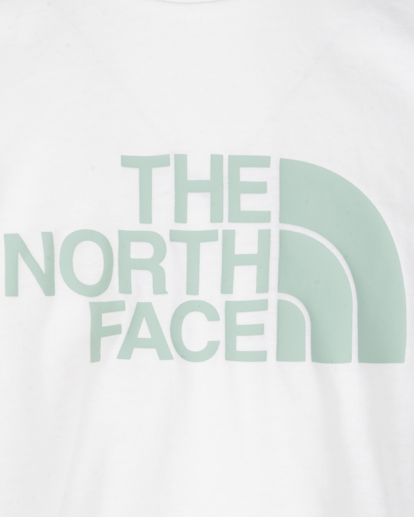 Koszulka The North Face Easy Big Logo Jr NF0A8DRQFN41