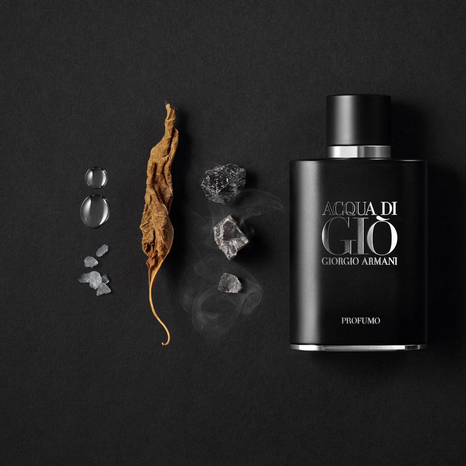 Giorgio Armani Acqua Di Giò Profumo Eau de Parfum