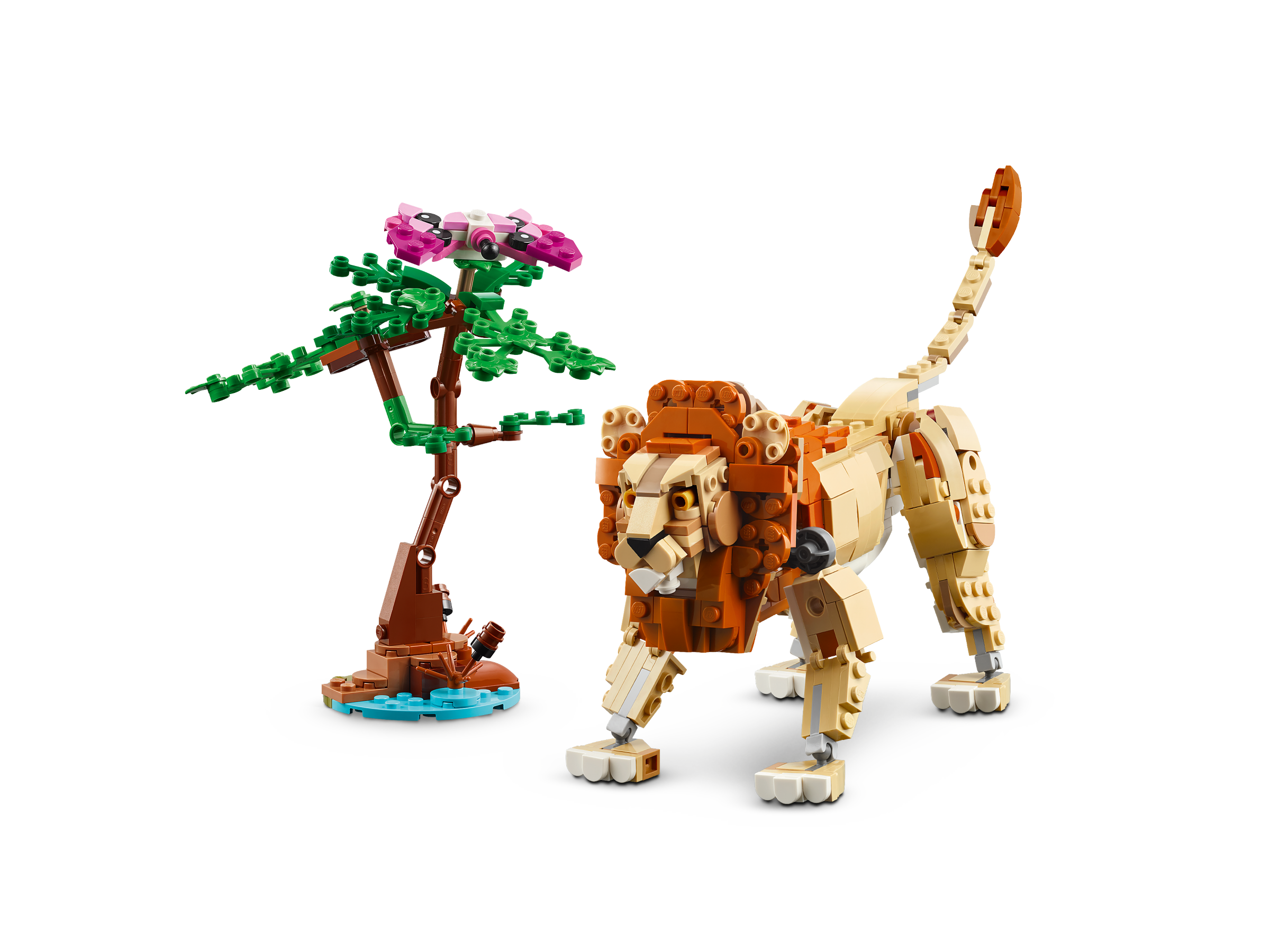 Tiersafari 31150