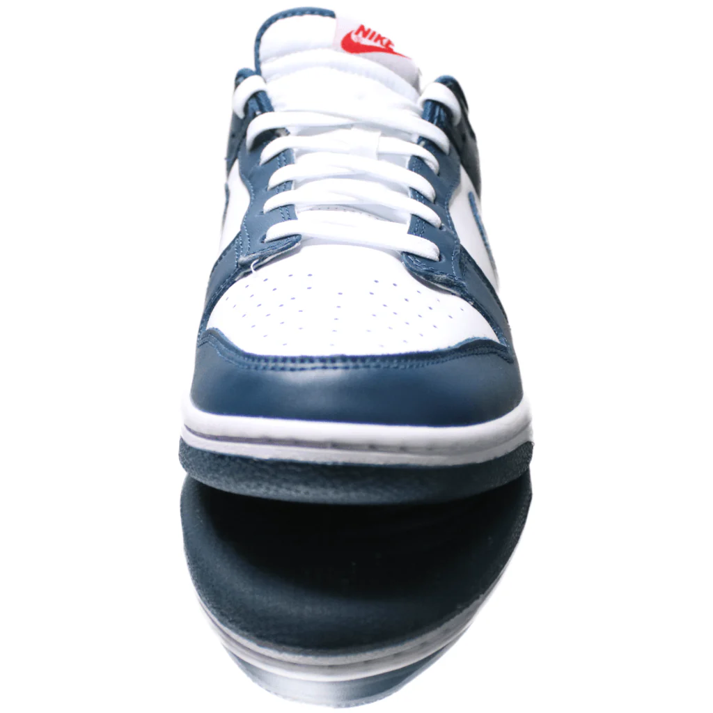 Nike Dunk Low Valerian Blue