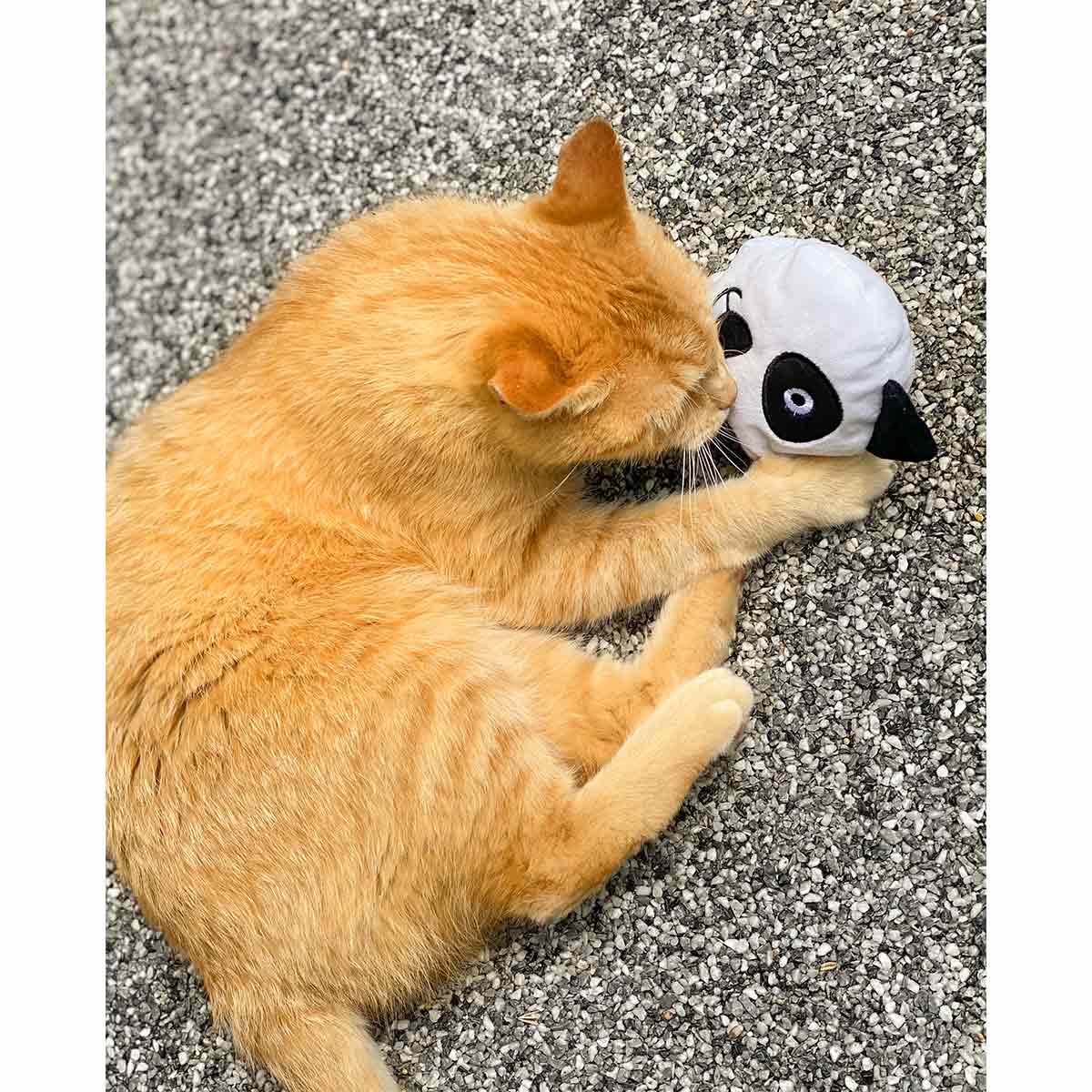 Aumüller Panda Qi Katzspielzeug günstig kaufen