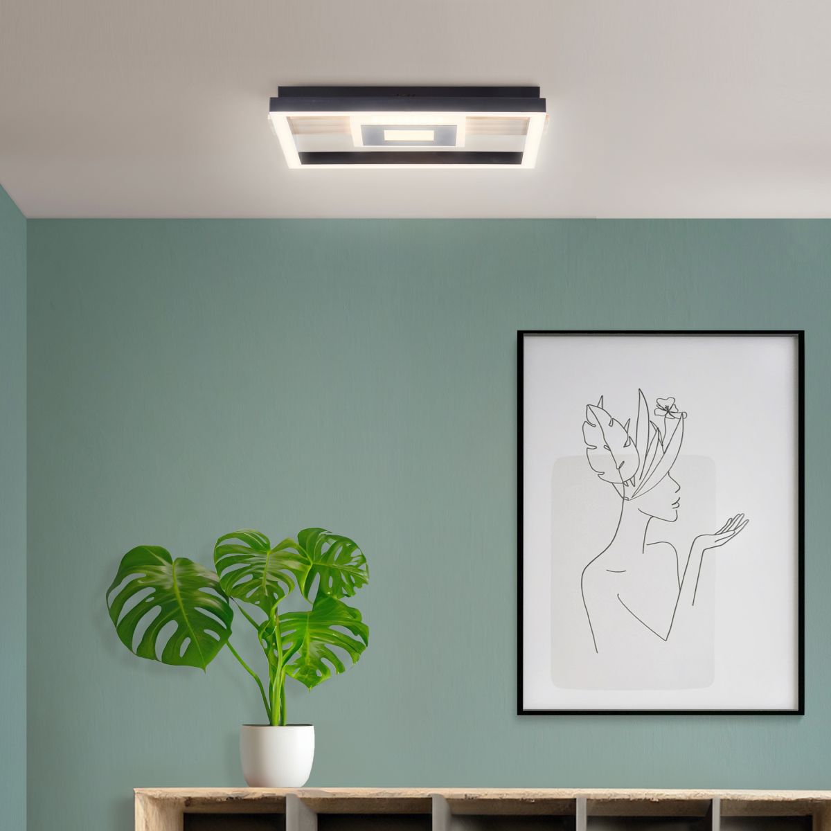 Brilliant LED Deckenleuchte Baldo