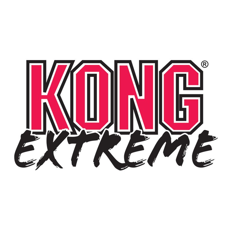 KONG Extreme Ball zu TOP-Preisen