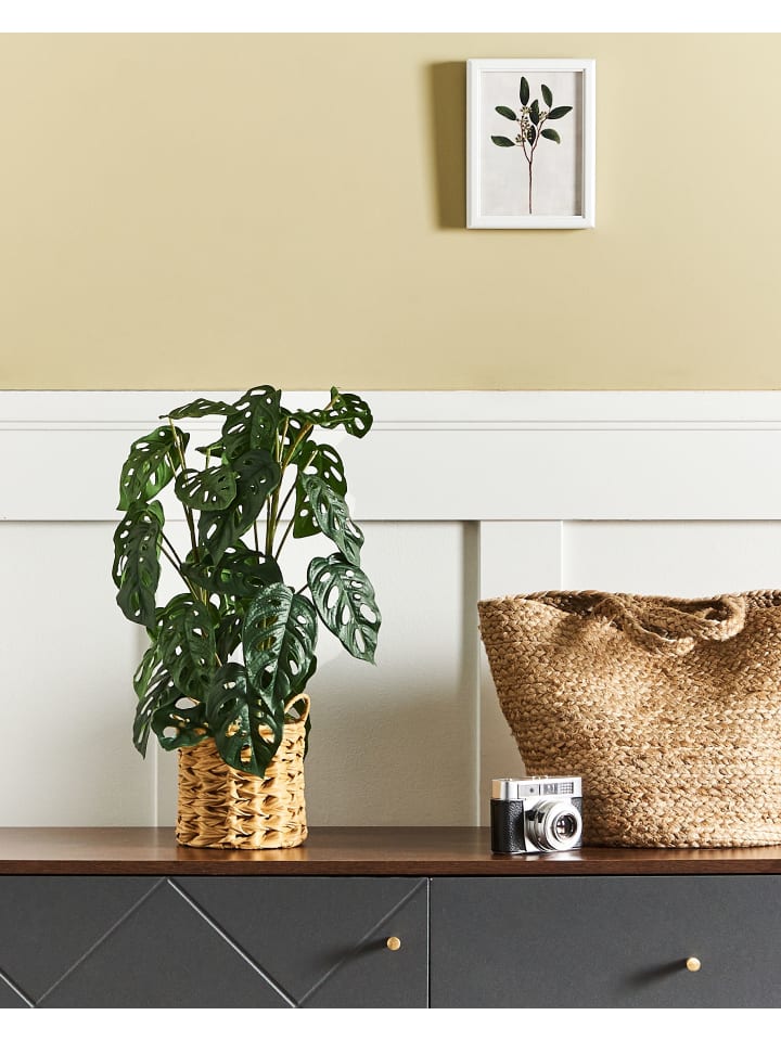 Beliani Kunstpflanze MONSTERA ADANSONII in Grün/Schwarz - (W) 27 x (H) 53 x (L) 27 cm günstig kaufen onesize