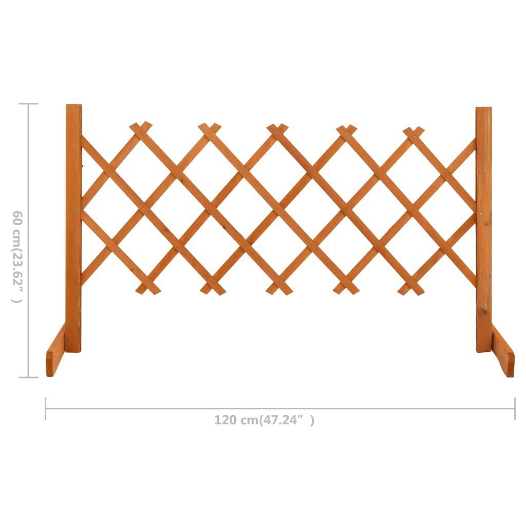 vidaXL Gartenzaun Garten-Rankzaun Orange 120x60 cm Massivholz Tanne, (1-St)