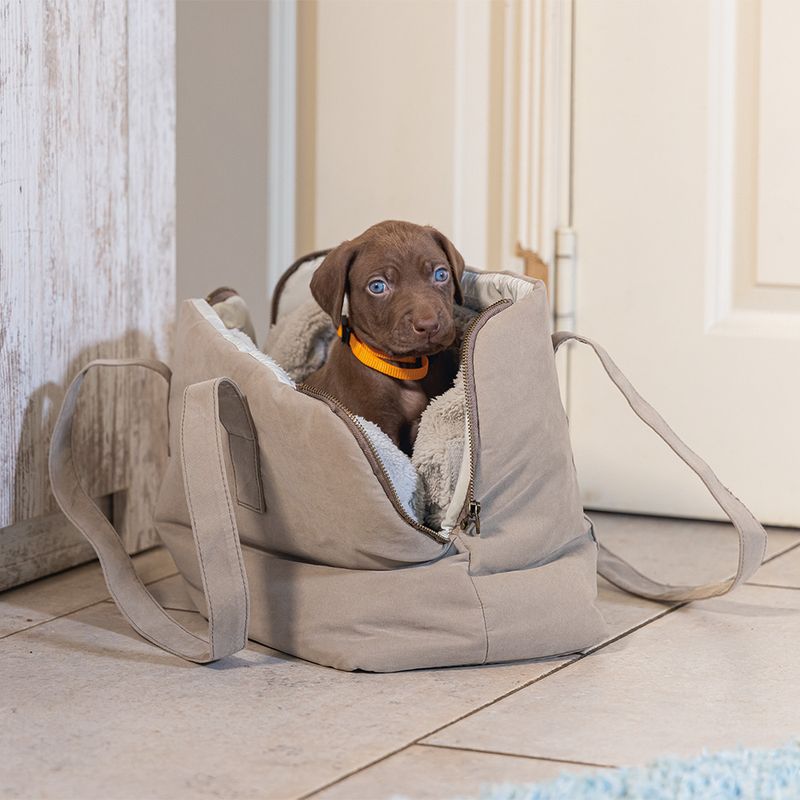 Designed by Lotte Hundetragetasche Bundu zu TOP-Preisen | bitiba