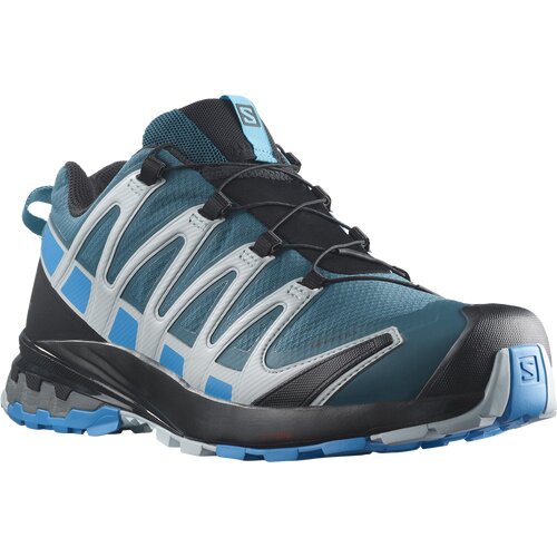 HERREN TRAILRUNNINGSCHUHE SHOES XA PRO 3D V8 GTX LEGION/BLITHE/PEA