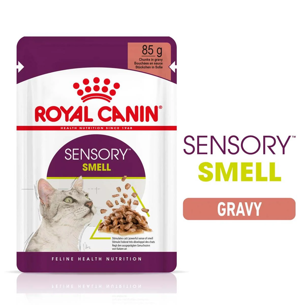 Royal Canin Sensory Smell Gravy günstig kaufen bei ZooRoyal