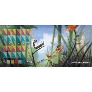 Bios Mesofauna Neoprene Mat