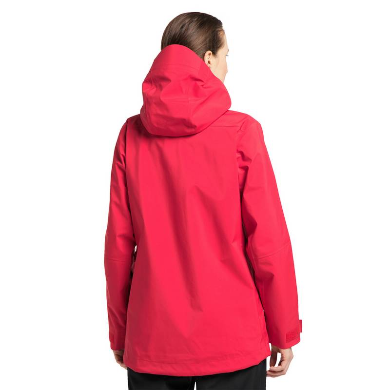 Haglöfs Dalskidan GTX Jacket Hardshelljacke Damen