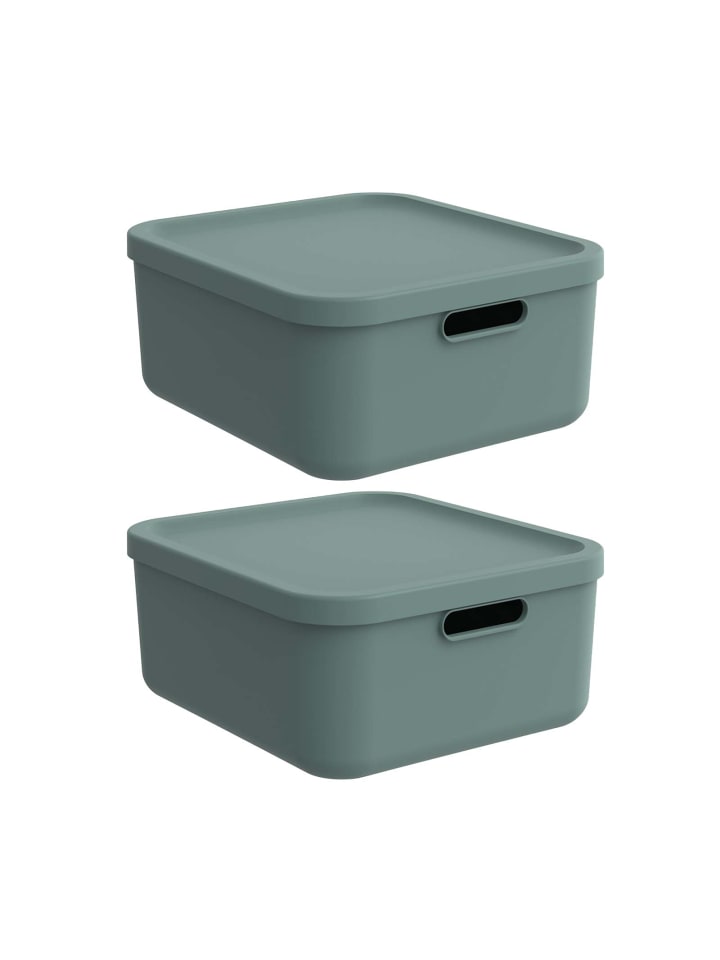 Rotho Albula Light 2er-Set Aufbewahrungskiste 20l in Mistletoe green günstig kaufen onesize