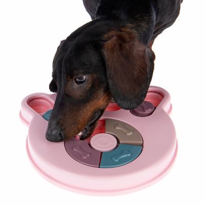 Intelligenzspielzeug Snack Paw