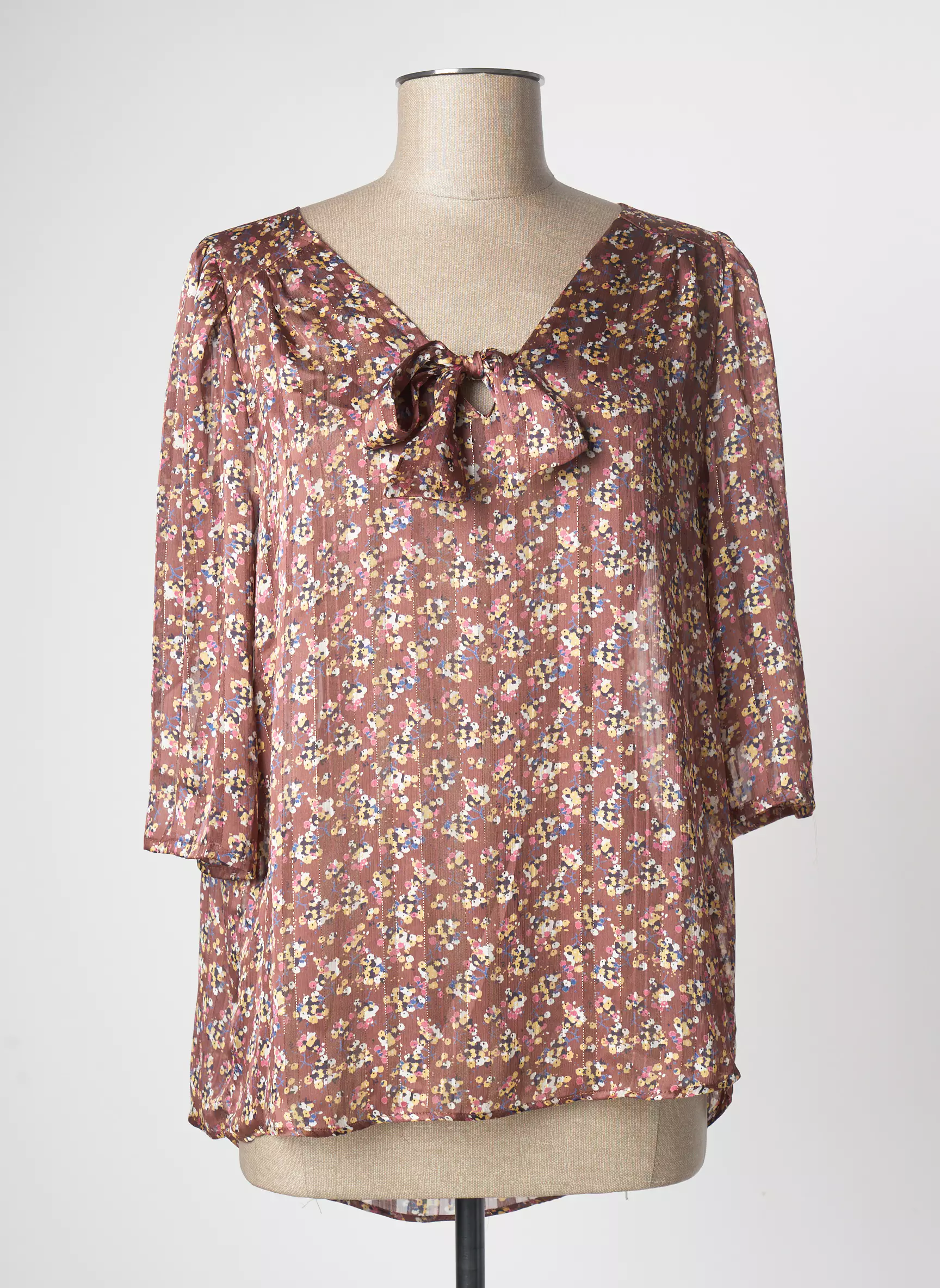 Hippocampe Blouses Femme couleur marron