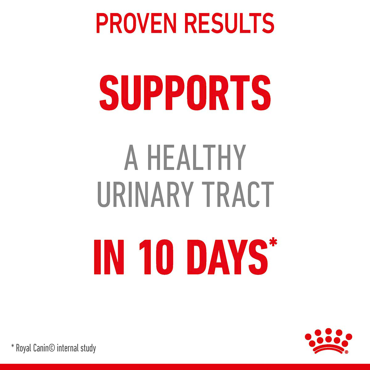 Royal Canin FCN Urinary Care günstig kaufen