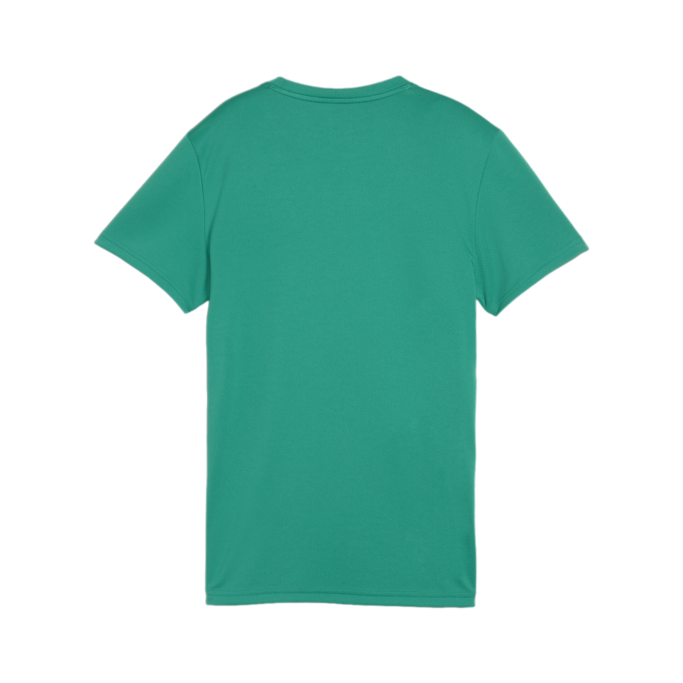 PUMA teamGOAL Trikot Damen Grün F05