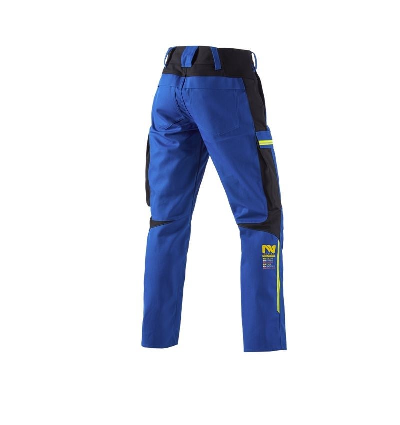 Bundhose e.s.vision multinorm*