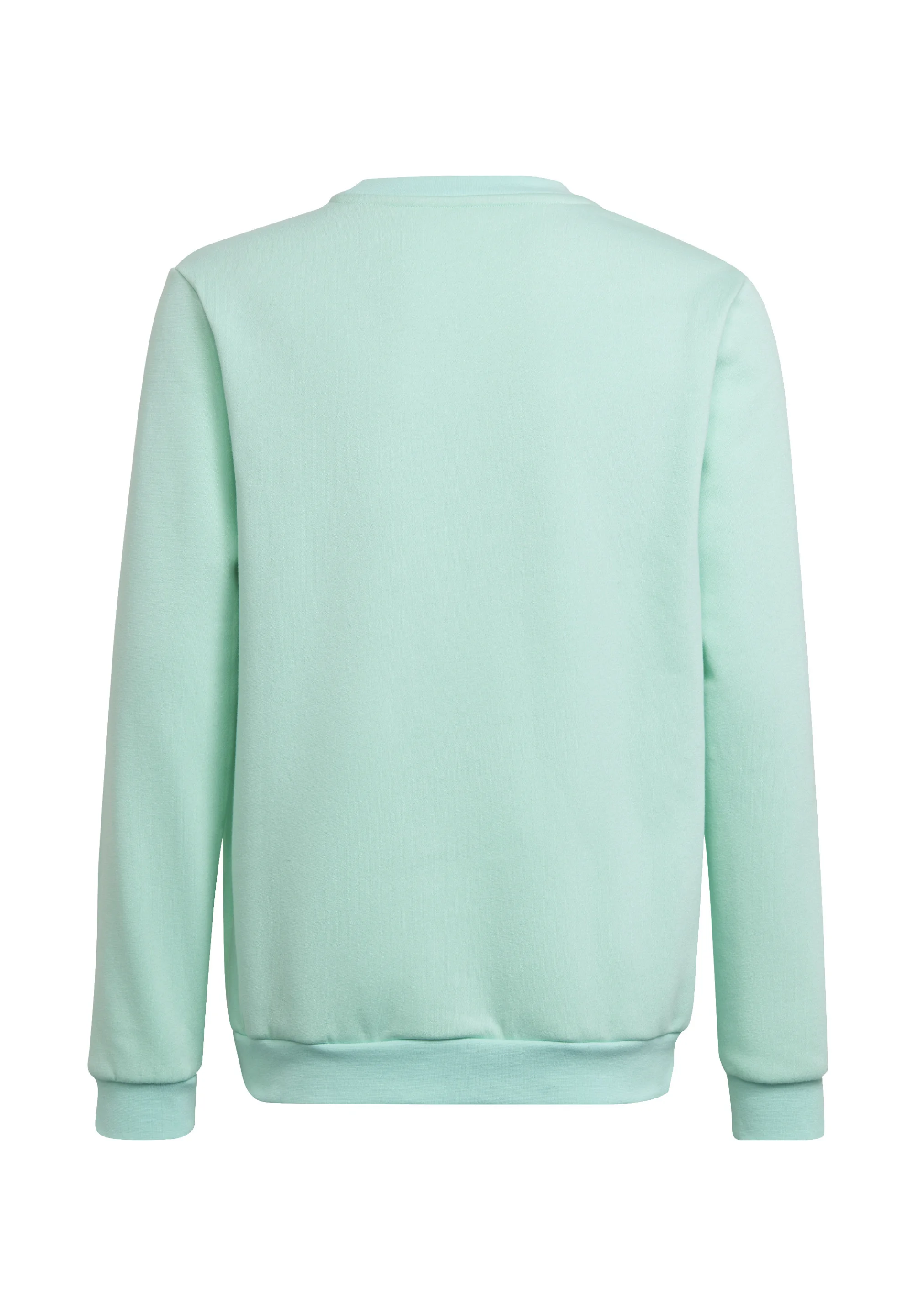 adidas Performance FUSSBALL TEAMSPORT ENTR - Sudadera