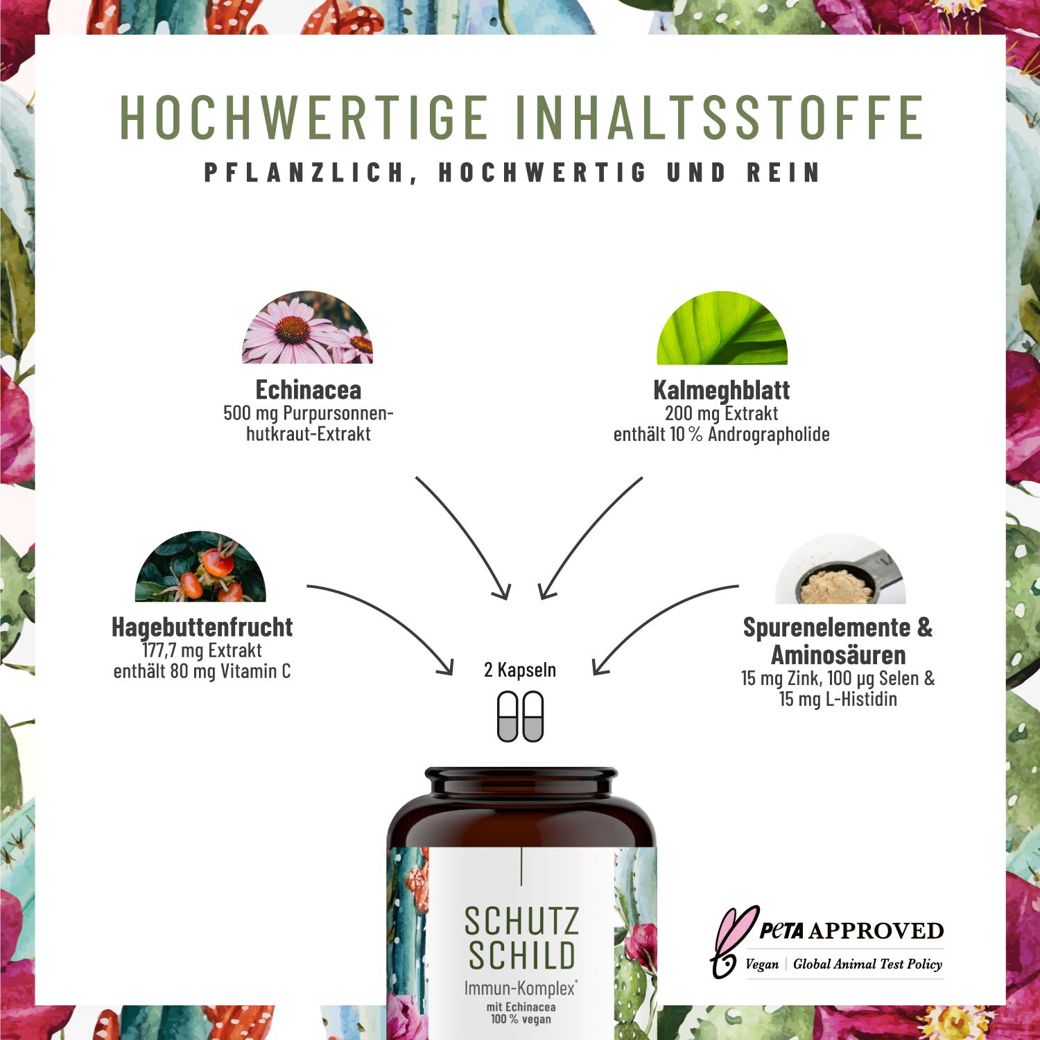 Immun* Komplex mit Echinacea - Schutzschild - NATURTREU®